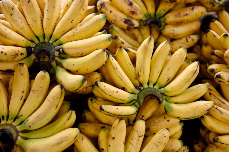 Banana - One Of The World's Healthiest Fruits